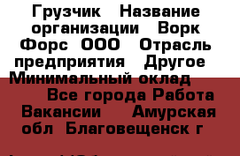 Грузчик › Название организации ­ Ворк Форс, ООО › Отрасль предприятия ­ Другое › Минимальный оклад ­ 24 000 - Все города Работа » Вакансии   . Амурская обл.,Благовещенск г.